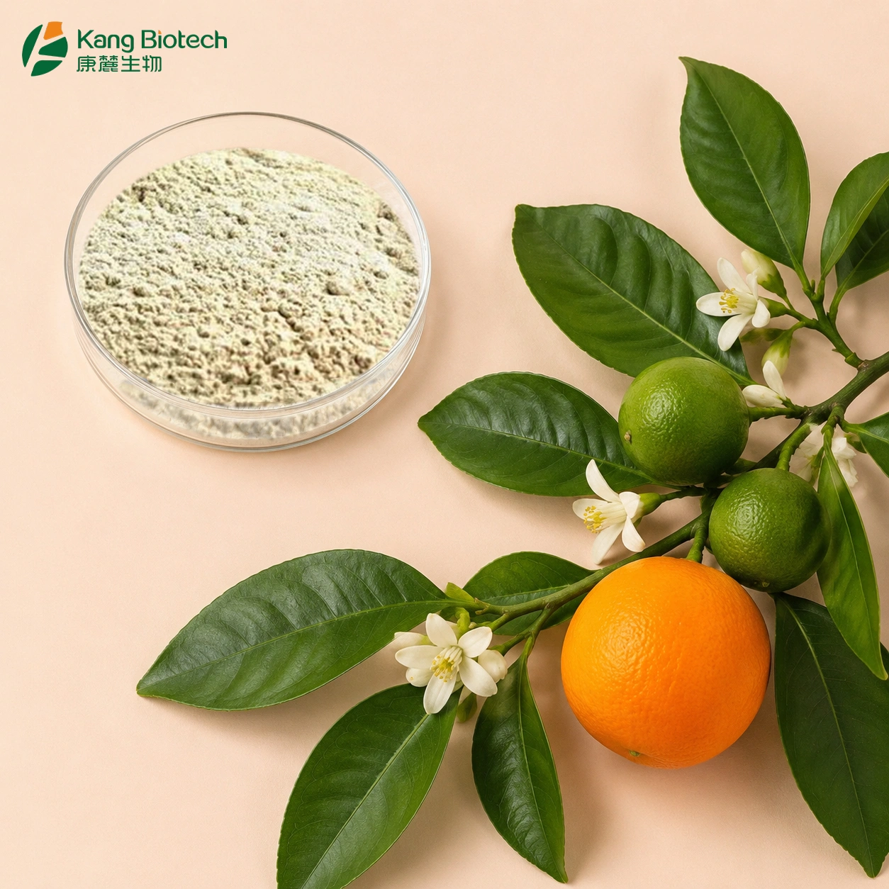 Brain Health Supplement